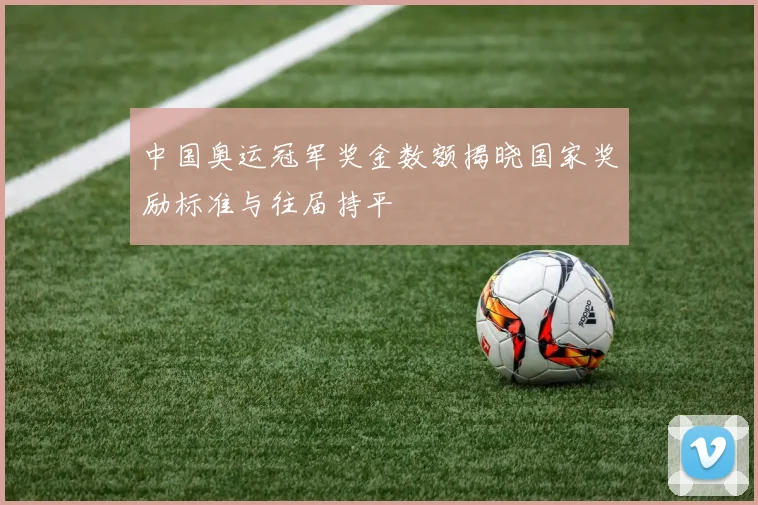 中国奥运冠军奖金数额揭晓国家奖励标准与往届持平