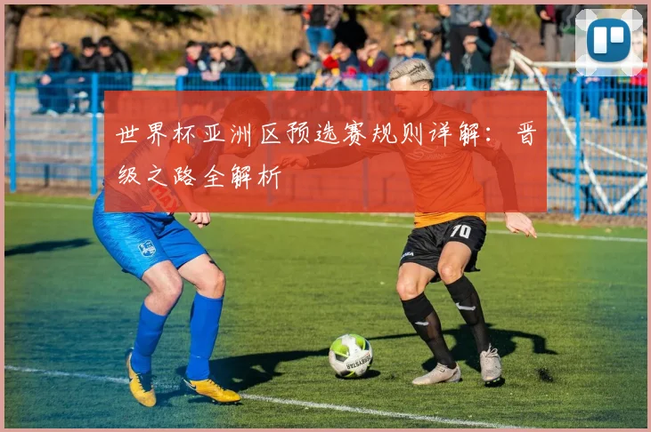世界杯亚洲区预选赛规则详解：晋级之路全解析
