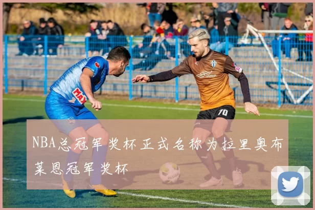 NBA总冠军奖杯正式名称为拉里奥布莱恩冠军奖杯