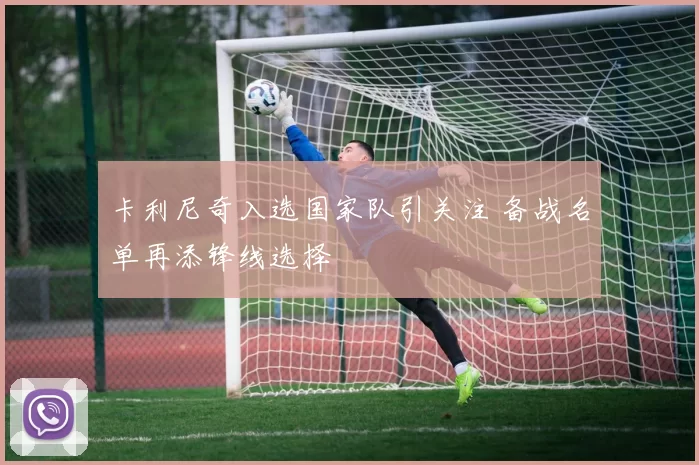 卡利尼奇入选国家队引关注 备战名单再添锋线选择